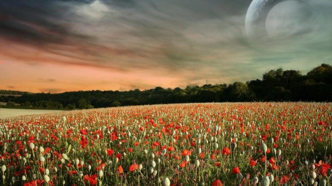 Python+rust会是一个强大的组合吗？